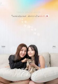 Catch Cat Crush (2025)