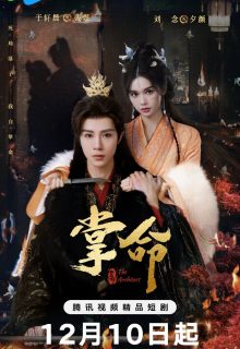 The Architect (2025)