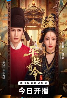 The Princess Decree (2025)