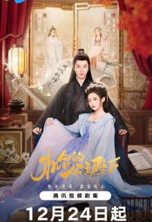 The Royal Highness of the Princess (2025)